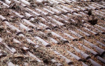 Titley roof cleaning companies